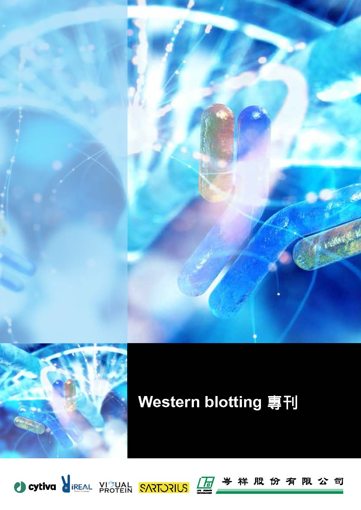 Western blotting 蛋白質專刊